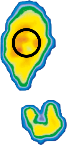 Без бустеров